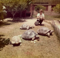 12 Year old Waymo Mark with 6 tortoise friends
